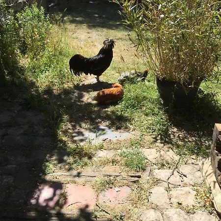 Eco-friendly House, Near Angers5 Bedrooms, 2 Bathrooms Nyaraló Corze