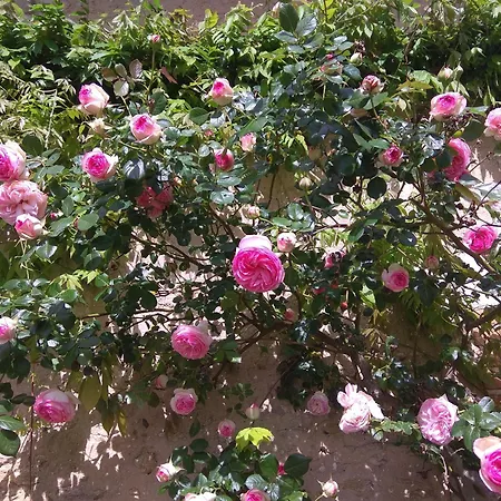 Eco-friendly House, Near Angers5 Bedrooms, 2 Bathrooms Nyaraló Corze