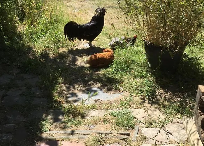 Eco-friendly House, Near Angers5 Bedrooms, 2 Bathrooms Semesterbostad Corze