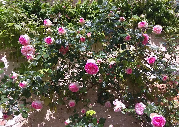 Eco-friendly House, Near Angers5 Bedrooms, 2 Bathrooms Semesterbostad Corze